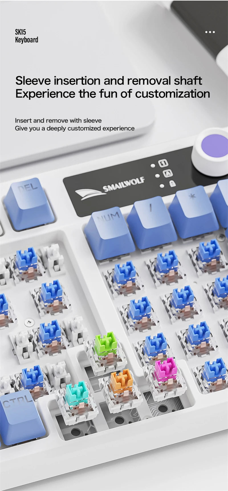 Spanish Mechanical Keyboard Spanish Russian Arabic Korean Thai Gaming Keyboard 95 Key Layout Backlight Type C With Numpad SK15