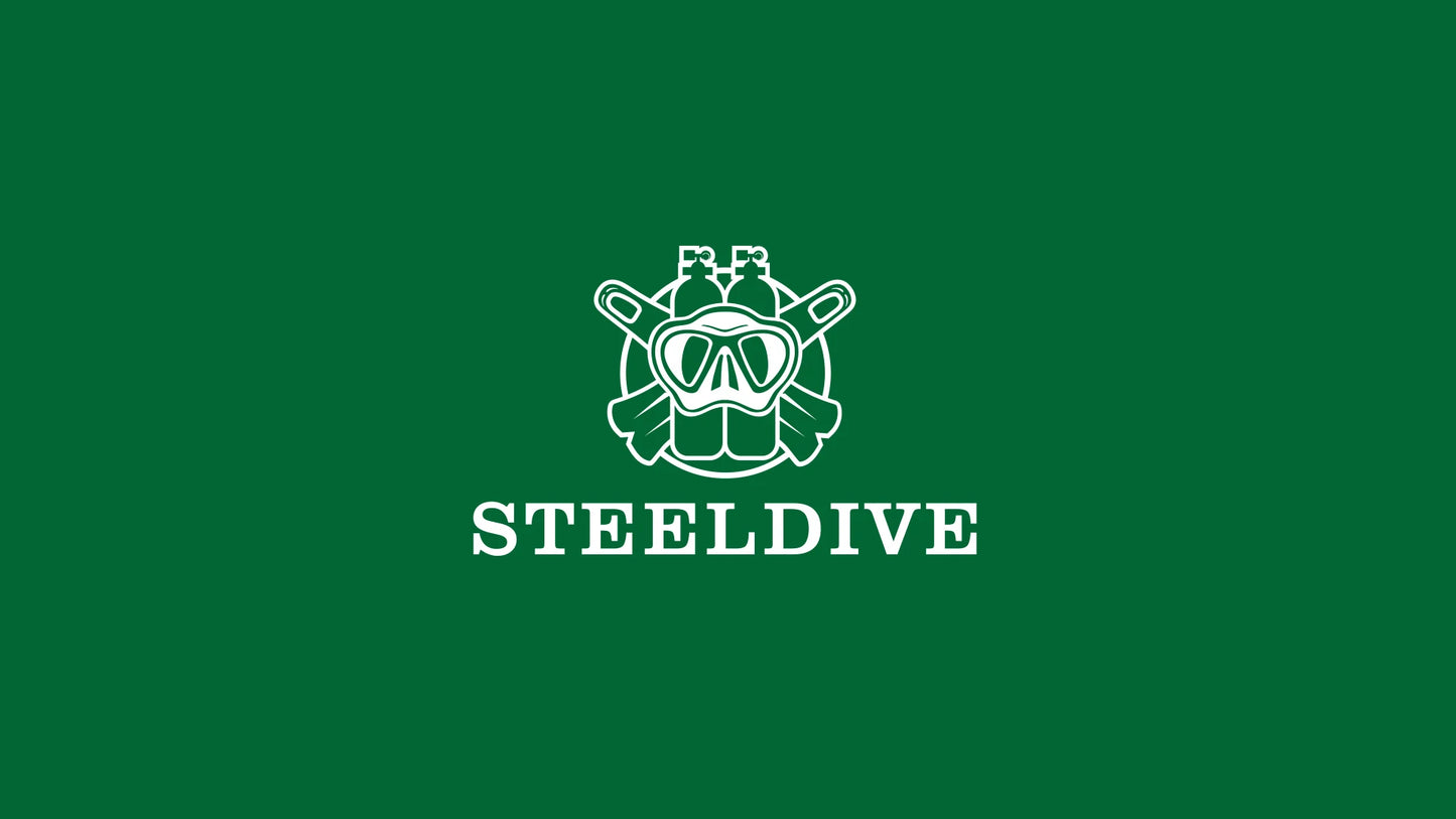 SD1970 STEELDIVE Brand 44MM Sapphire Glass with Transparent AR Coating Cermaic Bezel NH35 Movement Automatic Dive Watch Turtle