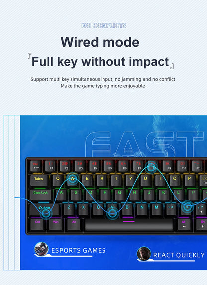 APAYADO K61 60% Mini Wired Gaming Mechanical Keyboard Phantom RGB, 61 Keys, Red/Blue Switch, Ergonomic, Portable for PC/Laptop