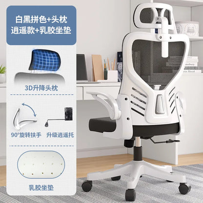 Office chairComputer  Office  Ergonomic  Office Sedentary Learning  Mahjong  Conference  Dormitory