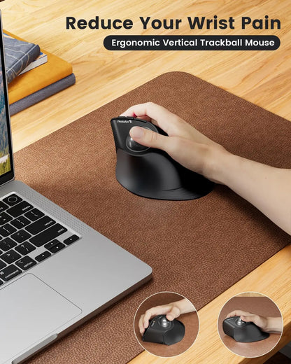 ProtoArc EM05NL Wireless Trackball Mouse Rechargeable Bluetooth Ergonomic Vertical Rollerball Mouse for Computer iPad Mac Windows