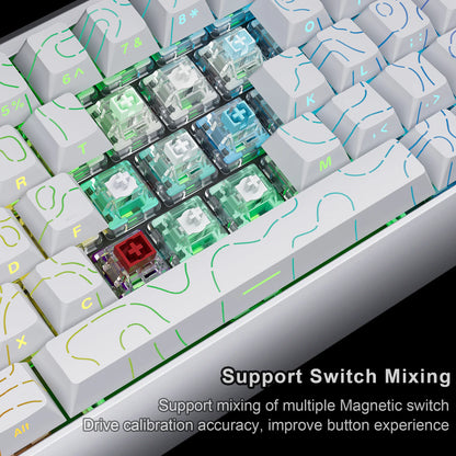 Tastiera magnetica SKYLOONG GK61/GK68 HE con case in alluminio, 8000hz, RT0.01mm, Rapid Trigger, keycap PBT, retroilluminazione RGB, tastiera gaming cablata