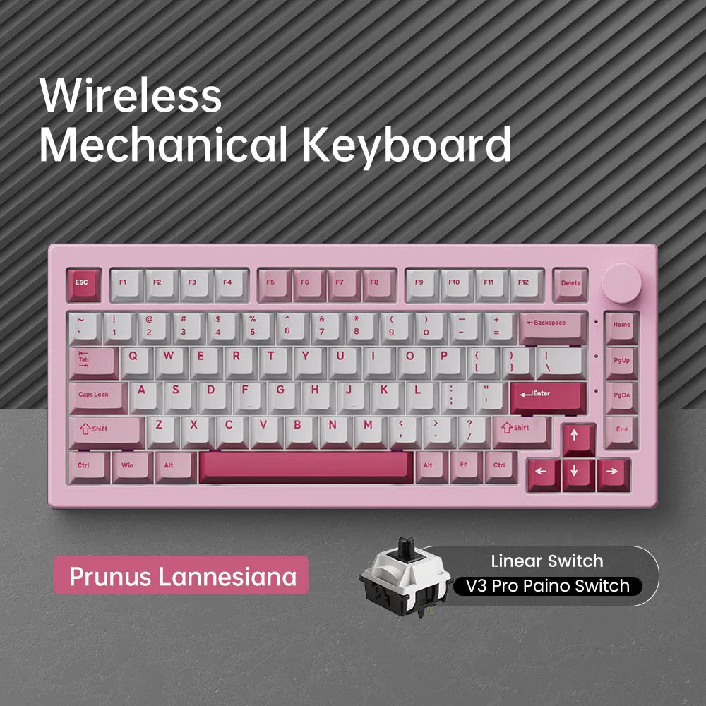 Tastiera meccanica gaming personalizzata Akko 5075 V3 75% ANSI-US con manopola del volume, hot-swappable, RGB, USB Type-C/2.4g e BT5.0 tri-mode