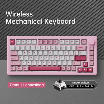 Tastiera meccanica gaming personalizzata Akko 5075 V3 75% ANSI-US con manopola del volume, hot-swappable, RGB, USB Type-C/2.4g e BT5.0 tri-mode