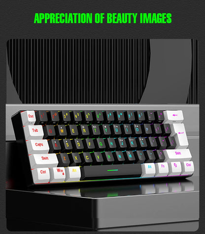 Wasserdichte mechanische 61-Tasten-Tastatur mit Kabel in Weiß, mit schwarzen und blauen Switches, RGB-beleuchtet – Gaming- und Office-Set, PUBG Gamer Backlit