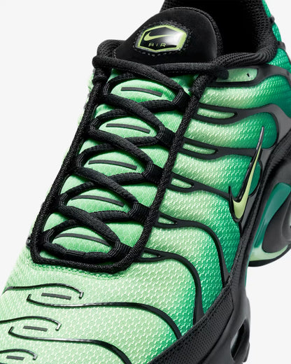 Nike Air Max Plus Men's Low-Top Running Shoes Comfortable Durable Shock Absorption Versatile Style DM0032-019