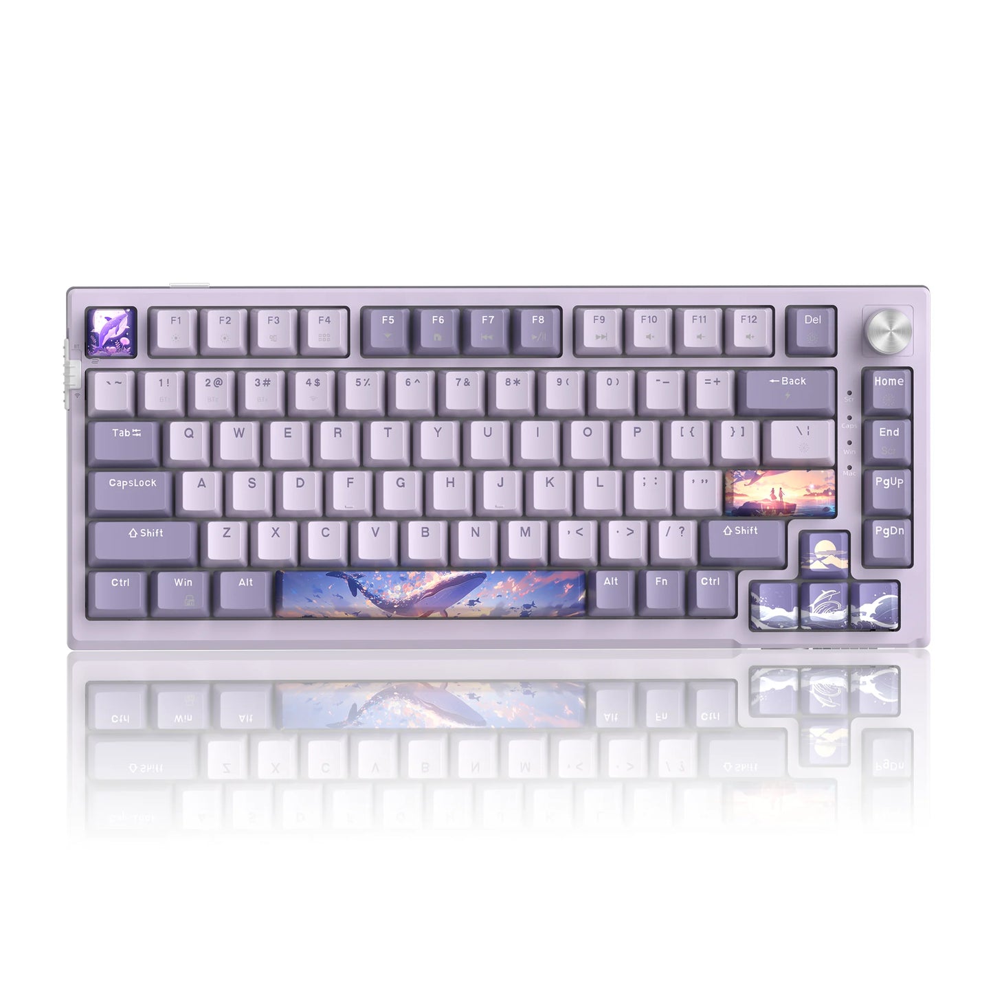 MageGee SKY81 75% mechanische Gaming-Tastatur, RGB-Gasket, Hot-Swap-fähige kabelgebundene Custom-Tastatur mit cremiger Schalldämpfung und Drehregler