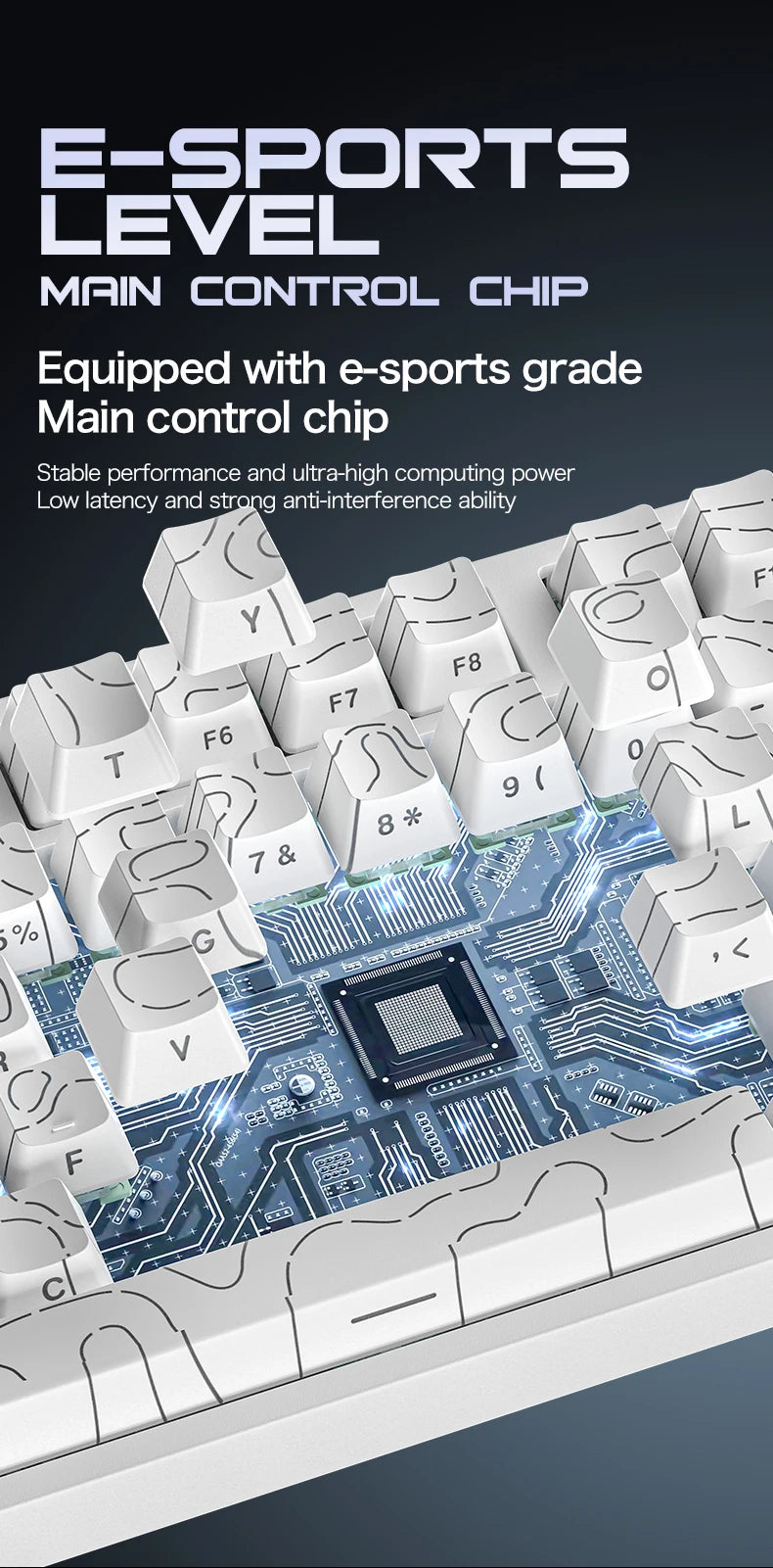 ATTACK SHARK R82 HE kabelgebundene magnetische 75%-Gaming-Tastatur mit RGB, 8000Hz, Rapid Trigger und 0.005mm Auslösung