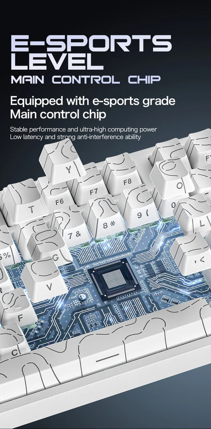 ATTACK SHARK R82 HE kabelgebundene magnetische 75%-Gaming-Tastatur mit RGB, 8000Hz, Rapid Trigger und 0.005mm Auslösung