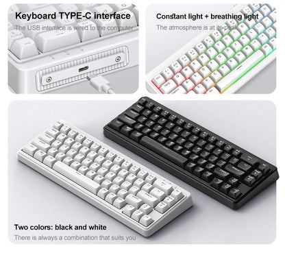 FREEWOLF M68SE Mechanical Feel Keyboard 68 Keys Mini Wired Compact Keyboard Silent for Laptops, Gaming and Office Use