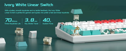 MageGee 60% mechanische Gaming-Tastatur, RGB, vollständig Hot-Swap-fähige Custom-Switches, 61 Tasten, Mini-Bürotastatur für Win/Mac-Laptop