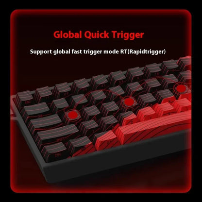 FGG Madlions Mad60 Mad68 He Mechanical Keyboard Magnetic Switch 8k Wired Rgb Hot Swap Custom Keyboard Esport Game Gift Accessory