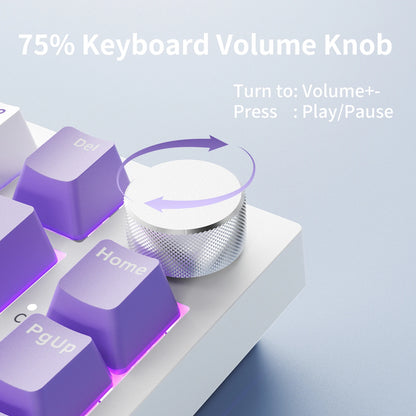 Teclado Mecânico com Fio AJAZZ AK820 75%: Hot-Swappable, Retroiluminação RGB/Branca/Azul-Gelo, Controlo por Botão de Volume | Para Escritório e Gaming